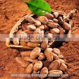 Alkalized Cocoa Powder thumbnail-6