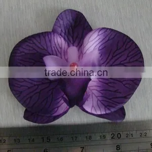 Orchid Flower thumbnail-1