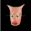 Latex Pig Mask thumbnail-1