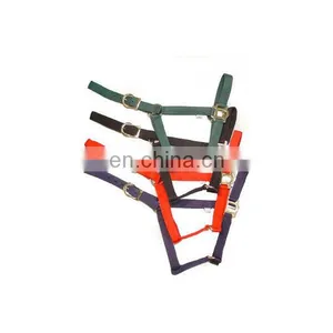 Webbing Horse Nylon Halter thumbnail-1