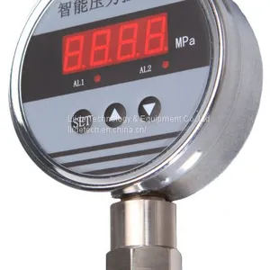 LD194A, LD194R, LD194E Digital Pressure Gauge 100nn LED Display thumbnail-1