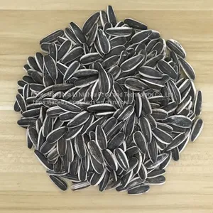 High Quality Sunflower Seeds From Inner Mongolia thumbnail-1
