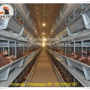 Gambia Poultry Chicken Farm Battery Chicken & Layer Cage & Chicken Coop & Laying Hen Cage in Chicken House thumbnail-1