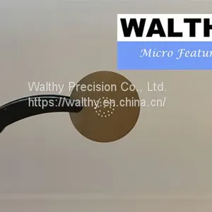 Blacked Stainless Steel Pinholes for Confocal System thumbnail-1