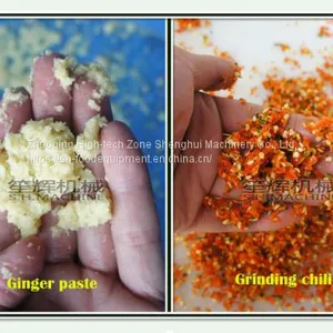 Electric Garlic Ginger Crusher Fruit and Vegetable Chopping Machine thumbnail-4