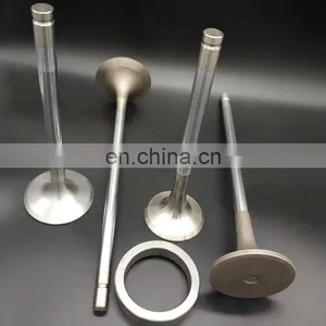 Manufacturing Marine Generators Diesel Intake Exhaust Engine Valve For DEUTZ MWM D234 TBD234 TBD236 TBD620 TBD604BL6 thumbnail-2