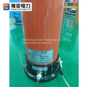Series Resonant Withstand Voltage Test Device DYBP-88/44 thumbnail-3