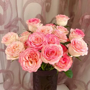 Direct Farm Supply Wholesale Real Touch Fresh Cut Rose Flower for Wedding Decoration thumbnail-5