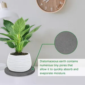 Stone Plant Pot Saucers Absorbent Quick Dry Diatomite Plant Saucer Manufacturer thumbnail-3