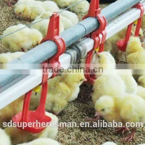 Poultry Equipments for Broilers and Breeders thumbnail-2