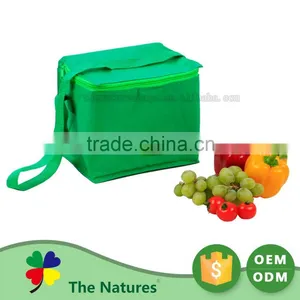 Brand New Custom Sizes Lightweight Pack Sushi Cooler Bag thumbnail-1