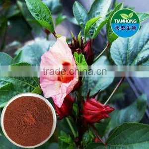 Roselle Hibiscus Sabdariffa Extract of High Quality thumbnail-1