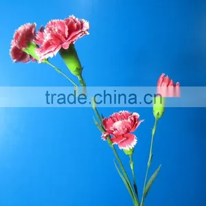 China Factory Direct Garden Bridal Carnation Decor thumbnail-2