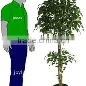 Classic Artificial Ficus Tree thumbnail-1