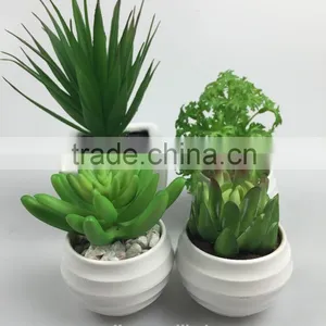 Factory Direct Handmade Decoration Artificial Succulents Potted Plant thumbnail-4