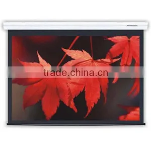 Manual Roll Up Projection Screen thumbnail-1