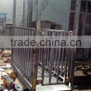 Livestock Platform Scales thumbnail-4