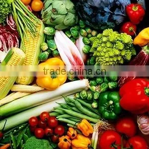 Fresh Pakistani Vegetables thumbnail-1