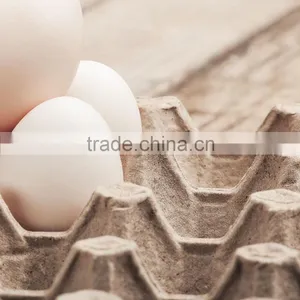 Pulp Moulding Tray and Egg Box/paper Pulp Egg Tray thumbnail-3