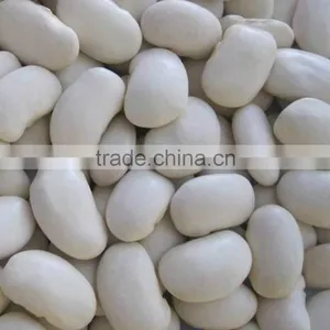 Chinese Large White Kidney Beans for Sale thumbnail-6