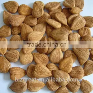 Supply With China Origin Sweet Apricot Kernels for Sales thumbnail-6