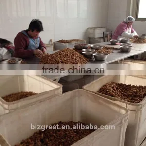 Supply With Chinese Walnut Kernels Light Amber Broken For Sales thumbnail-4