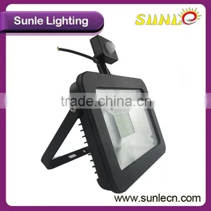 50w Led Flood Light Motion AC Linear Driverless Security Led Flood Lights for Garden thumbnail-1