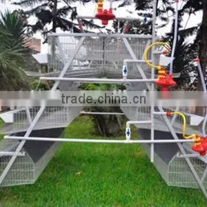 Poultry Cage/poultry Equipment thumbnail-1