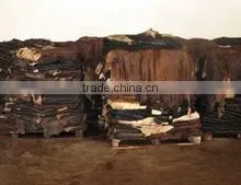 DONKEY HIDES thumbnail-3