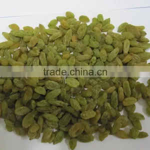 New Crop Green Raisin thumbnail-1