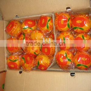 Mandarin Orange (Lugang) thumbnail-1