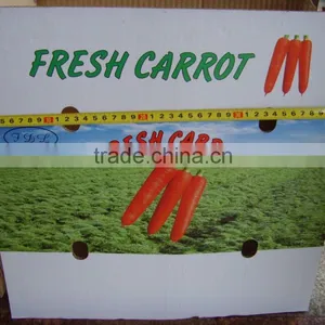 Sell Sell Fresh Carrot thumbnail-1