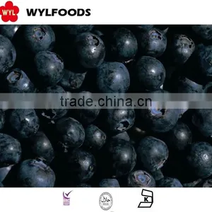 IQF Frozen Blueberry Wild thumbnail-2