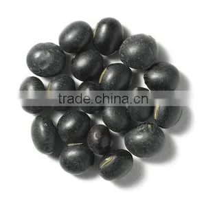 Black Soybean Hull Extract Anthoyanins thumbnail-1