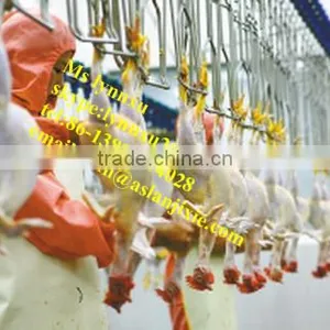 Chicken Slaughtering Machine / Chicken Pre-cooling Machine thumbnail-3