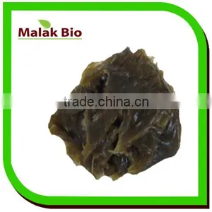 Black Soap With Bio Eucalyptus Oil in Bulk 5 kg thumbnail-1