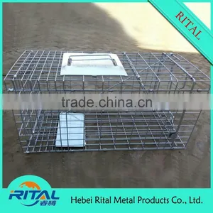 Galvanized Raccoon Cage Traps for Raccoon Trapping thumbnail-1