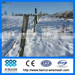 Chain Link Fence Top Barbed Wire thumbnail-1