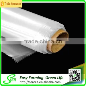 Black and White PE Biodegradable Mulch Film for Agriculture Greenhouse thumbnail-4