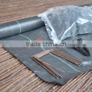 pp Woven Ground Cover Cloth thumbnail-1
