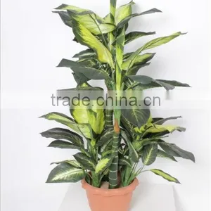 Artificial the Rohdea Japonica Bonsai thumbnail-1