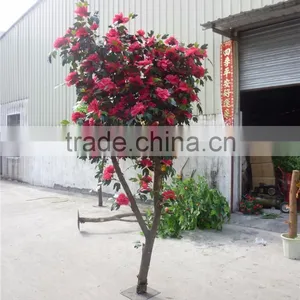 Indoor Artificial Decoration 2-5 m H Fake Flower Potted Bonsai Plant LGH15-06 thumbnail-4