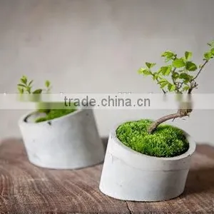 Low Price Small Indoor Concrete Flower Pot thumbnail-1