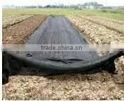 Agricultural pp Weed Mat Black Plastic Ground Cover for Sale thumbnail-3