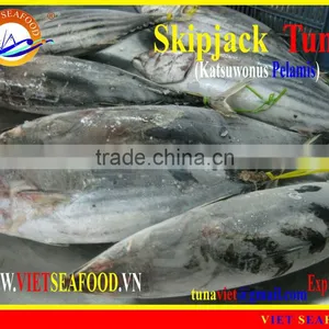 FROZEN W/R SKIPJACK TUNA thumbnail-1