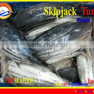 FROZEN W/R SKIPJACK TUNA thumbnail-1