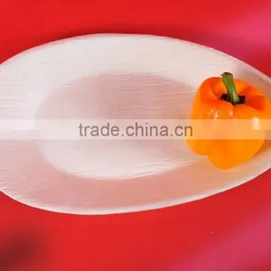 Arcea Palm Leaf Plates - 100% Natural & Biodegradable thumbnail-1