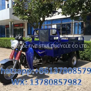 Gasoline Tricycle Cargo Loader Lovol Three Wheeler Mali Ethiopia Ghana Bukina Faso Tanzania Kenya Senegal Togo Benin Nigeira Mauritania Angola Burundi Chad Cameroon C ô te D'Ivoire Gabon Guinea Mozambique Rwanda Congo Uganda Zimbabwe thumbnail-1