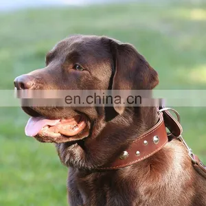 Soft Touch Basic Classic Padded Leather Pet Collars Adjustable Durable Dog Collars Pet Supplies thumbnail-1
