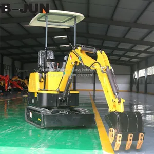 Cheap Price Hot Sale 1000kg Small Excavator for Sale thumbnail-4